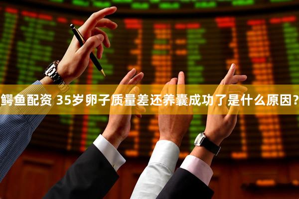 鳄鱼配资 35岁卵子质量差还养囊成功了是什么原因？