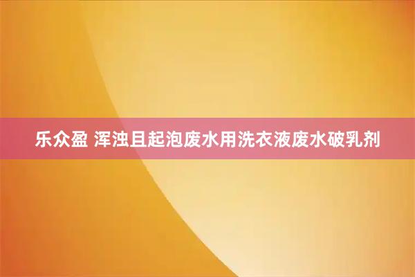 乐众盈 浑浊且起泡废水用洗衣液废水破乳剂