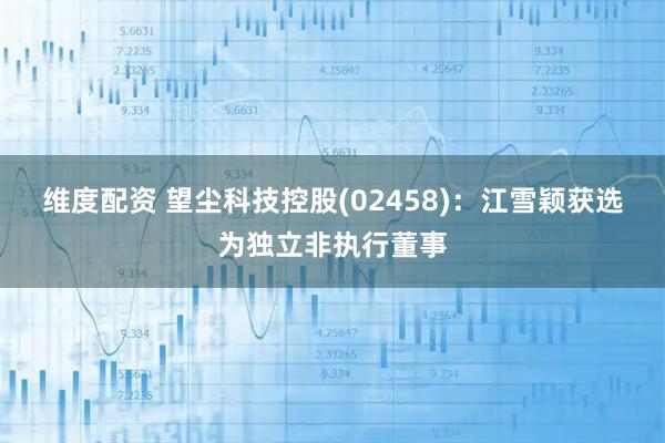 维度配资 望尘科技控股(02458)：江雪颖获选为独立非执行董事