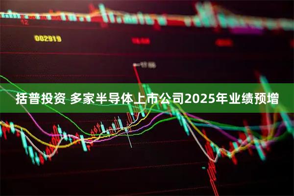 括普投资 多家半导体上市公司2025年业绩预增