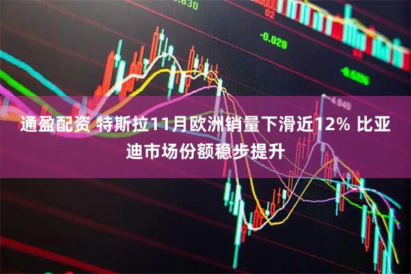 通盈配资 特斯拉11月欧洲销量下滑近12% 比亚迪市场份额稳步提升