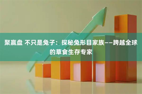 聚赢盘 不只是兔子：探秘兔形目家族——跨越全球的草食生存专家