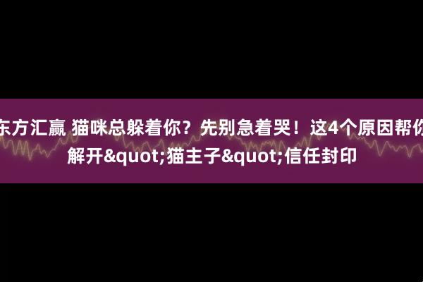 东方汇赢 猫咪总躲着你？先别急着哭！这4个原因帮你解开"猫主子"信任封印