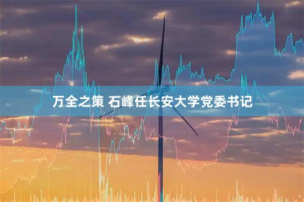 万全之策 石峰任长安大学党委书记